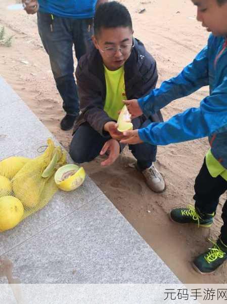 今日爆料，吃瓜红领巾：1. 吃瓜红领巾：揭秘校园趣事与秘密