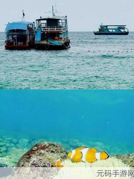 8x8x海外视频:1. "全球视野:8x8x海外视频带你领略异国风情