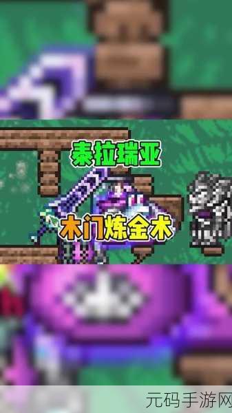 泰拉瑞亚，深入探索各类 NPC 角色的奥秘