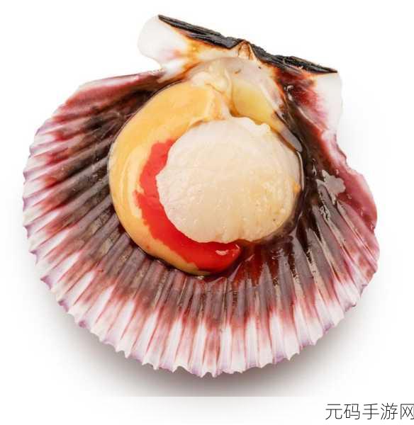 两个 一个扇贝：当然可以！以下是基于“扇贝”主题的几个新