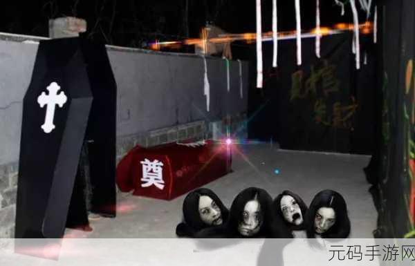 恐慌之船震撼登陆,汉化版下载开启,游轮上的恐怖生存冒险等你来挑战!