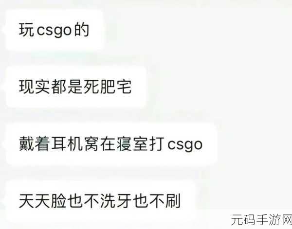 老婆不在家一个人寂寞CSGO文案:1. "独自在家,CSGO陪我度过寂寞时光