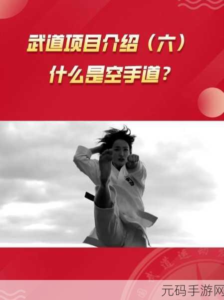 空手道格斗狂热来袭,无限金币版震撼上线,热血PK不容错过!