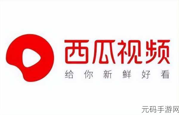 草莓视频西瓜视频小猪视频:1. 草莓视频:探索甜蜜生活的每一刻