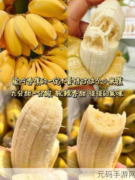 香蕉频视app:1. 探索香蕉频视:发现健康生活的新方式