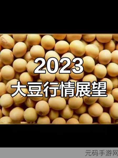 大豆行情网仙林：1. 大豆行情网：深度解析市场走势与投资策略