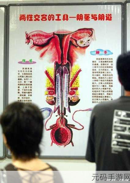 羞羞的网业：当然可以！以下是一些基于“羞羞的网”的创意标题，字数均不少于十个字：
