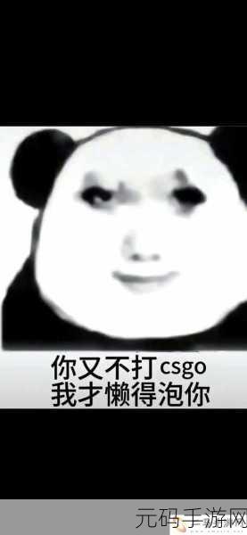 暴躁老姐的csgo玩法免费：1. 暴躁老姐如何在CSGO中逆转战局