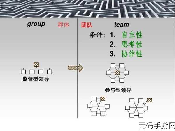 9人轮换:1. 九人轮换:团队协作的新模式探索