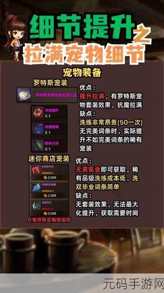 DNF 手游,宠物装备高爆地图大揭秘