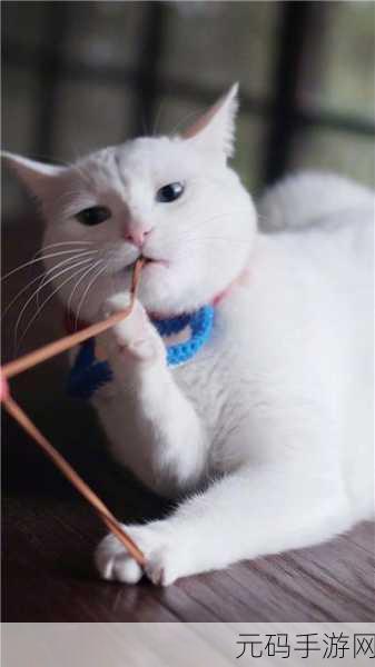 猫咪庭院物语，萌宠相伴，打造你的梦幻乐园下载热潮