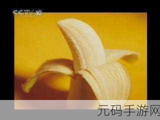 香蕉视频APP一区二区:1. 探索香蕉视频APP:无限精彩内容等你来发掘