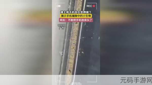 麻花传媒ceo:1. 麻花传媒CEO揭秘:如何打造成功的内容生态系统