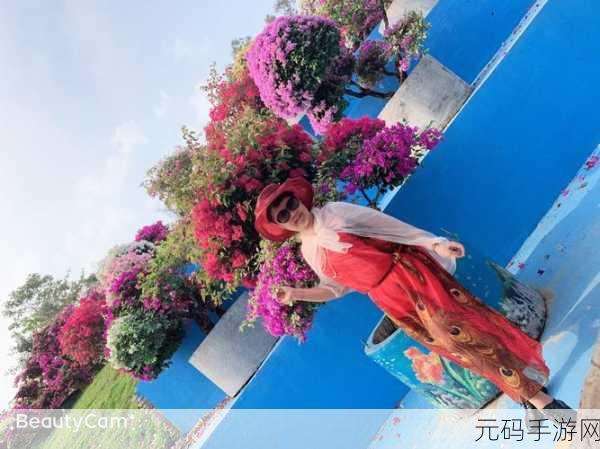 海角社区最新回家：1. 海角社区：温馨回家之旅，携手共创美好未来