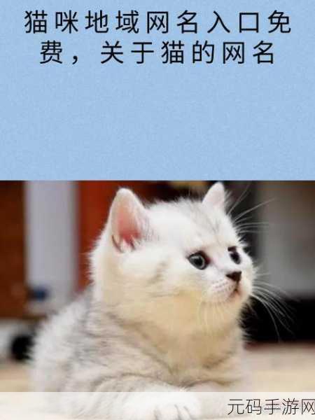 永久在线地域网名入口：1. 永久在线地域网名入口：开启你的数字新世界