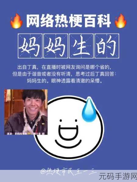热梗大爆炸席卷全球！国际服下载开启，脑力闯关新纪元等你来挑战