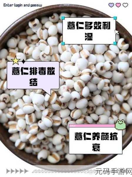 江南百景图中薏米的神奇作用与获取秘籍