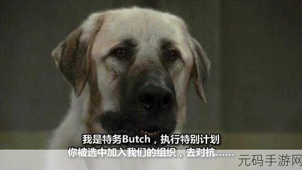 人狗大战java代码：1. 人狗大战：智能宠物的崛起与挑战