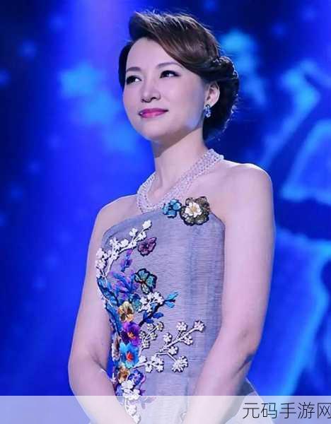 董卿为什么退出央视主持人：董卿退出央视主持人的背后原因与未来发展探讨