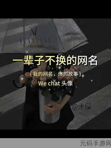 汤姆视频最新地域网名取名技巧:1. 根据地域特色打造个性化网名的技巧