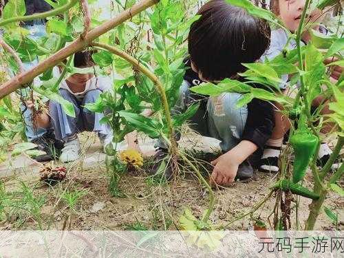 周末新乐趣解锁,周日除草记去广告版清新上线,畅享趣味闯关之旅