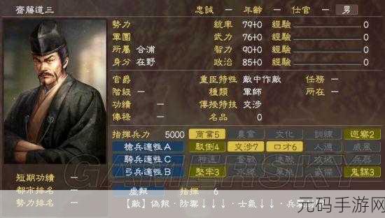 三国志 10 配偶无子之谜，深度解析与破解之道
