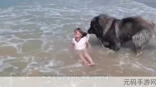 小萝莉把第一次交给了大黑狗:1. 小萝莉与大黑狗的奇妙初体验