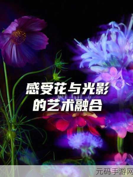 舞蹈室里的景色李欣罗晴:舞蹈室里的绚丽光影与心灵交响