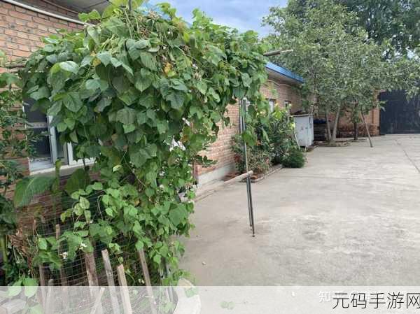 闲置伐木匠正式上线,砍树也能砍出新财富,休闲赚钱两不误!