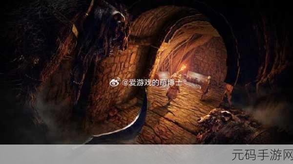 from software新作:黑暗幻想:遗失之境的传说与探险
