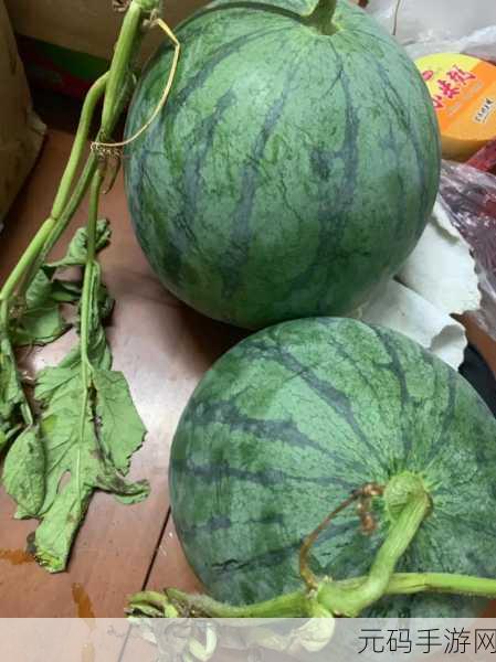 黑瓜料网：1. 黑瓜料网：开启你的优质采购新体验