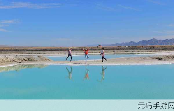 亚萨宠物机场，萌宠云集的梦幻天空之旅正式启程
