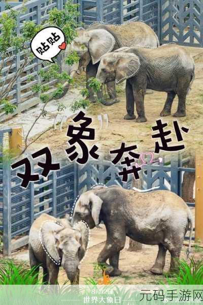 满18周岁点击转入2024大象：1. “迈向成人之路：2024大象拓展全新启航”