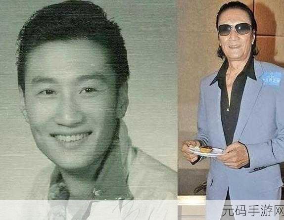 谢贤离世了:1. 谢贤离世:华语影坛永远的传奇
