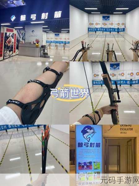射箭大赛激情开启，下载射箭大比赛体验逼真模拟射箭乐趣
