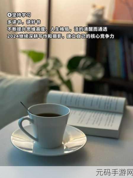 91轻量版：1. 91轻量版：极简生活的完美选择