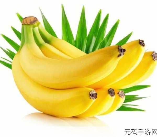 5g00ai香蕉在线观看视频:当然可以!以下是一些基于“5g00ai香蕉在线观看视频”的新标题建议,每个标题都不少于10个字: