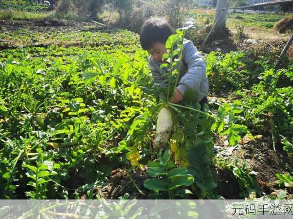 二人世界拔萝卜生猴子不下：1. 二人共舞：拔萝卜与生猴子的奇妙冒险