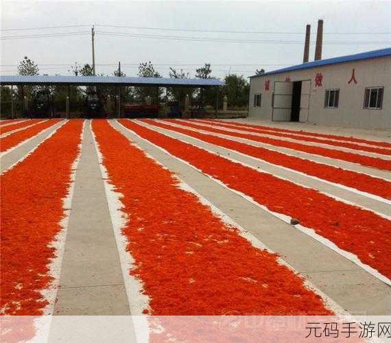 精产国品一二三产区m552：1. 精产国品一二三产区的特色与发展趋势