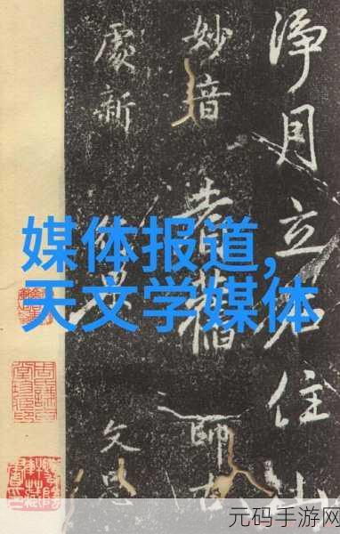 公与淑婷厨房猛烈进出演员表:公与淑婷厨房:爱与美食的交汇之旅
