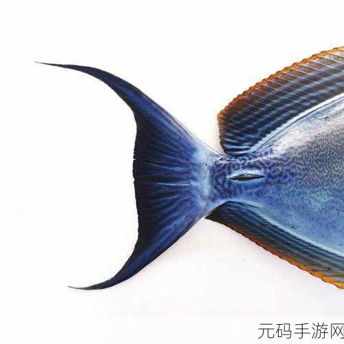 尾鱼：1. 尾鱼的奇幻冒险：探索水底世界的奥秘