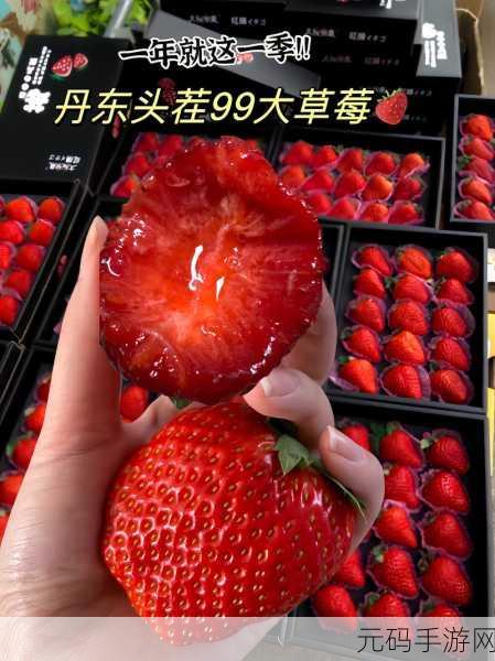草莓视频,有容奶大:当然可以!以下是一些关于“草莓视频”和“容奶大”的新标题建议,每个都不少于10个字: