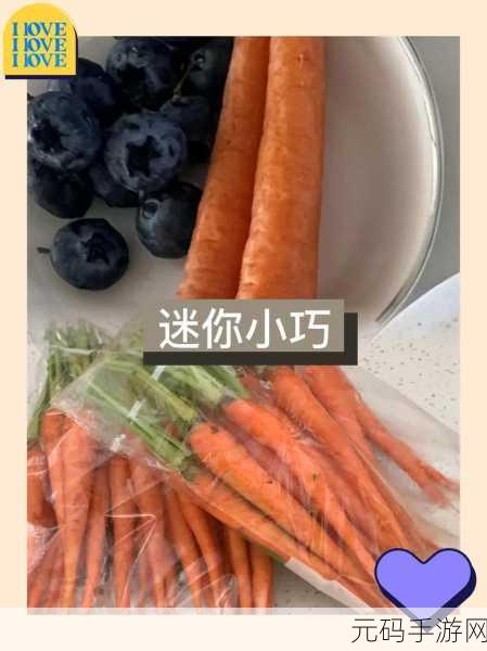 拨胡萝卜不盖被子：1. 拨胡萝卜的乐趣与温暖被子的故事