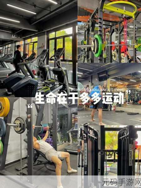 健身吧少年,让快乐与锻炼并行的休闲游戏新体验