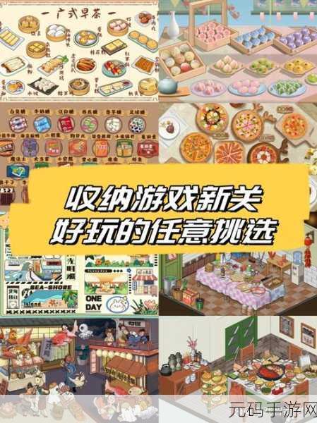 收纳大师大招版中文版震撼登场,解锁多样玩法,尽享益智整理乐趣