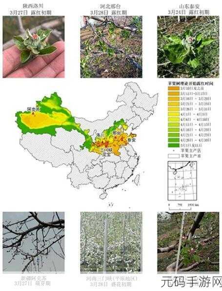 国产产区一二三产区区别在线:1. 中国农业三产区的特点与发展趋势分析