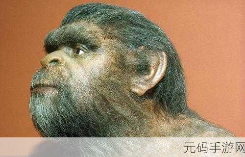 非洲女人与Z000交：1. 非洲女性与Z000：探索文化交融的奇妙旅程