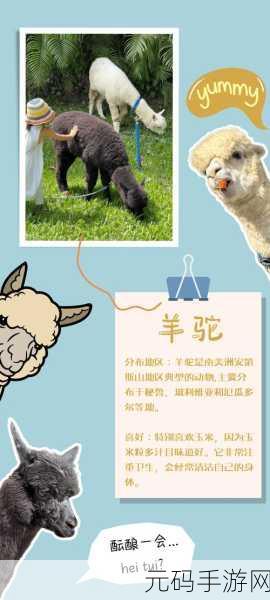 动物岛之谜，探索休闲新乐趣，萌宠方块等你挑战