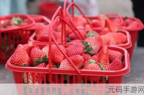 草莓视频福利导航：1. 草莓视频福利导航：畅享无限精彩内容！