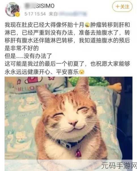 肿瘤医师游戏下载，寓教于乐，体验医者仁心